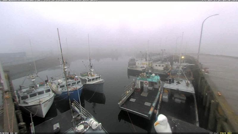 Lobster Rock Wharf East