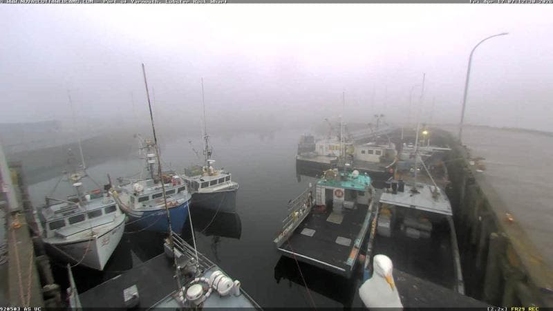 Lobster Rock Wharf East
