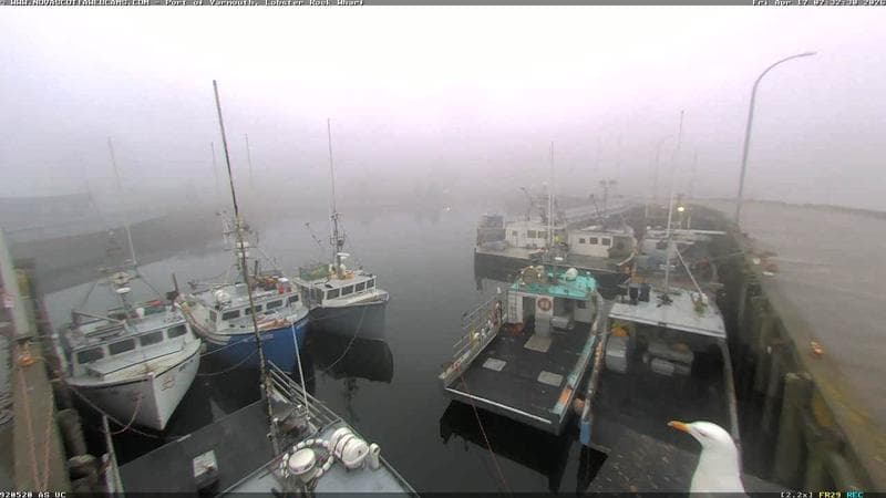 Lobster Rock Wharf East