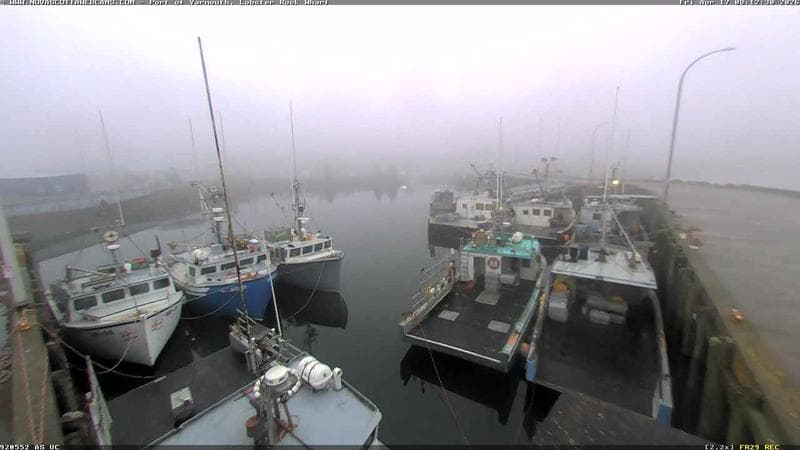 Lobster Rock Wharf East