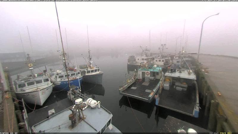 Lobster Rock Wharf East