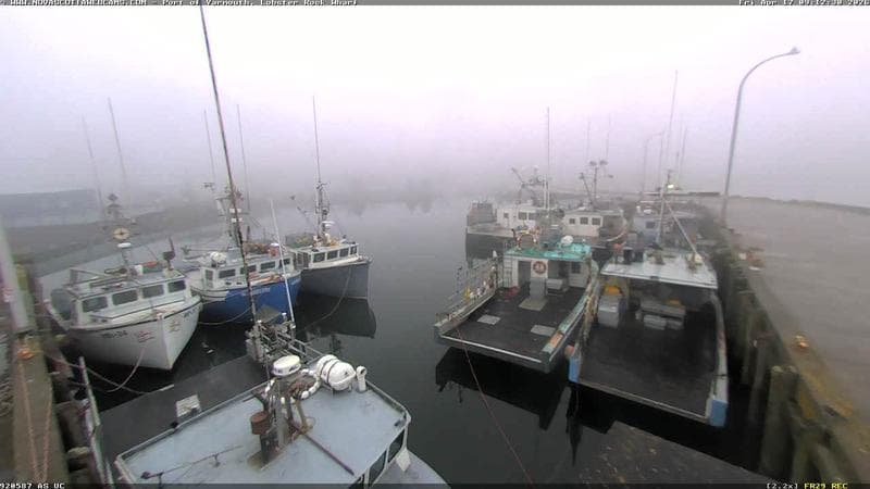 Lobster Rock Wharf East