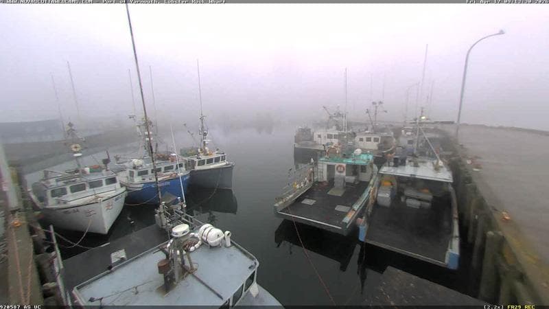 Lobster Rock Wharf East