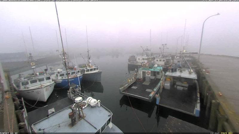 Lobster Rock Wharf East
