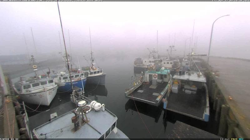 Lobster Rock Wharf East