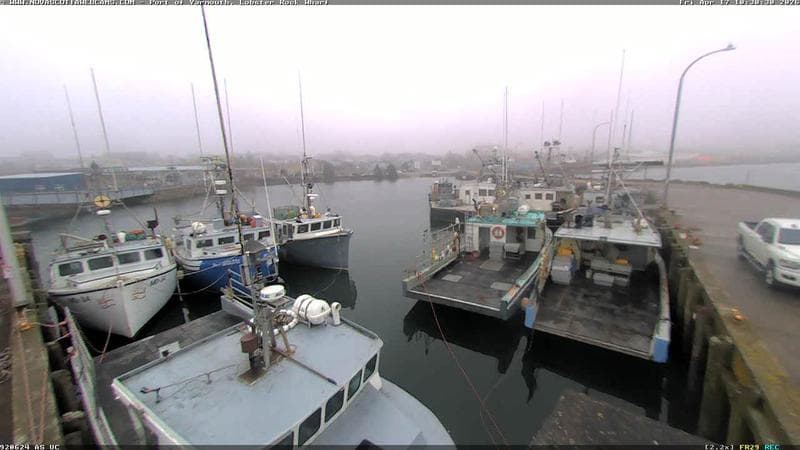 Lobster Rock Wharf East