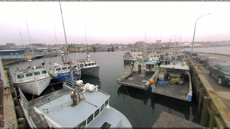 Lobster Rock Wharf East