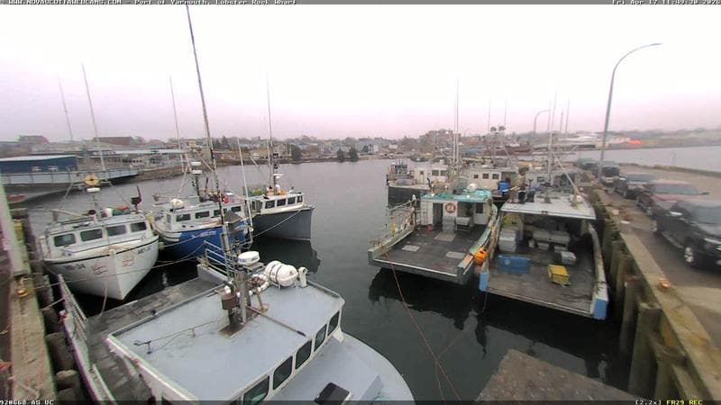 Lobster Rock Wharf East