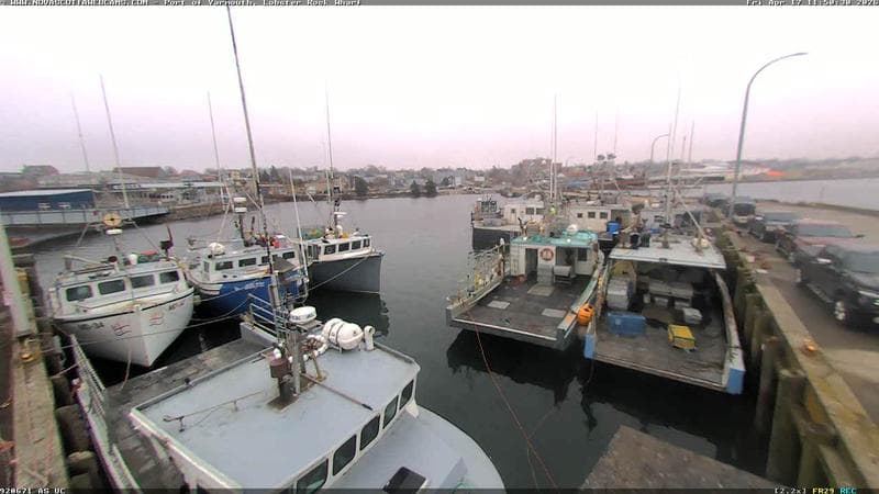 Lobster Rock Wharf East