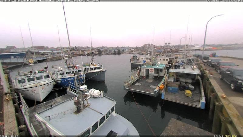 Lobster Rock Wharf East