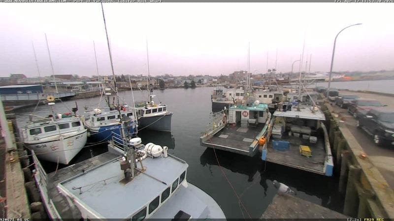 Lobster Rock Wharf East
