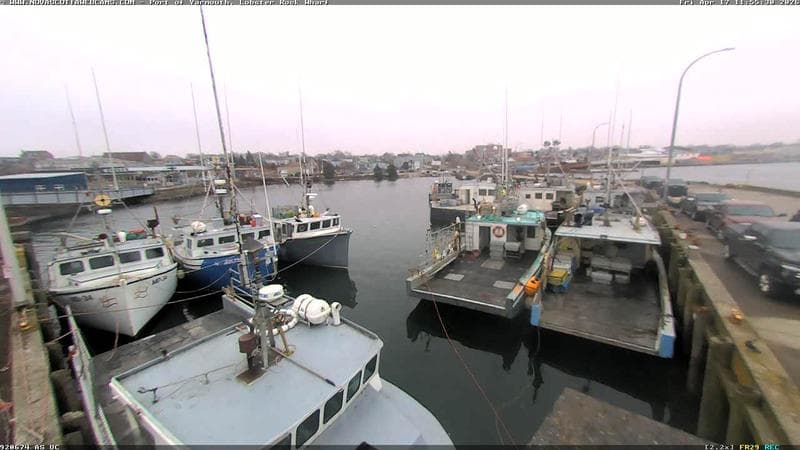Lobster Rock Wharf East