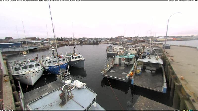Lobster Rock Wharf East