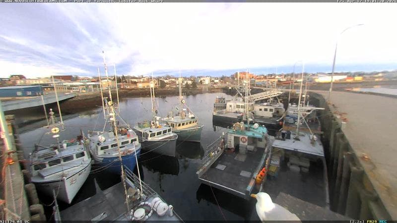 Lobster Rock Wharf East