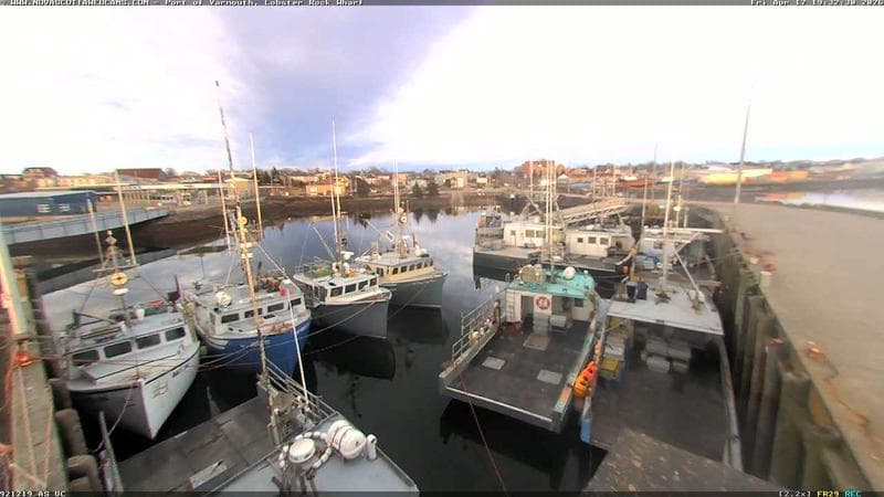 Lobster Rock Wharf East