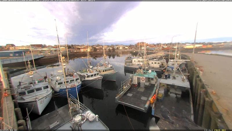Lobster Rock Wharf East