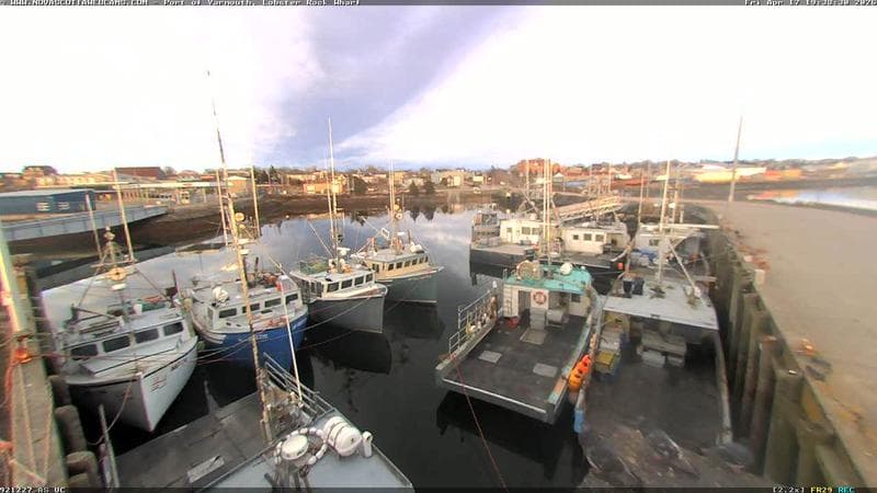 Lobster Rock Wharf East