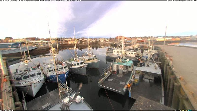 Lobster Rock Wharf East