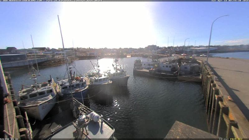 Lobster Rock Wharf East