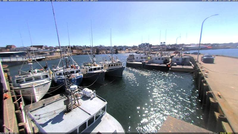 Lobster Rock Wharf East