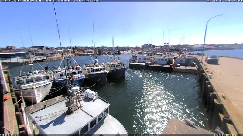 Lobster Rock Wharf East