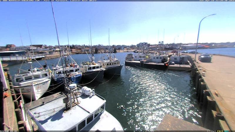 Lobster Rock Wharf East