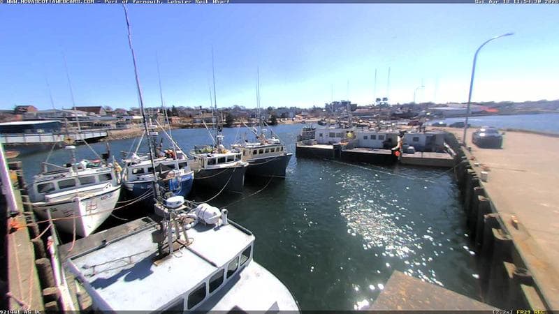 Lobster Rock Wharf East