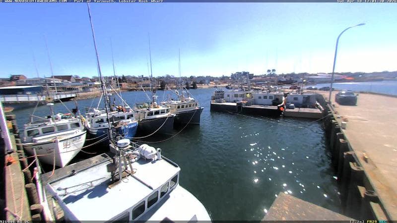 Lobster Rock Wharf East