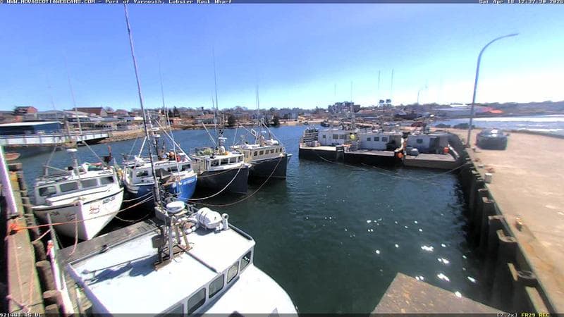 Lobster Rock Wharf East