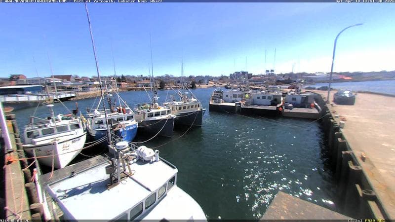 Lobster Rock Wharf East
