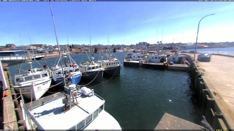 Lobster Rock Wharf East