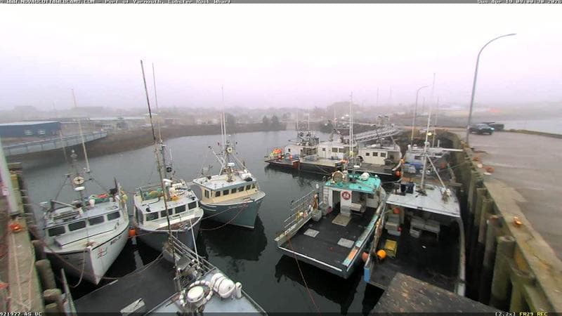 Lobster Rock Wharf East