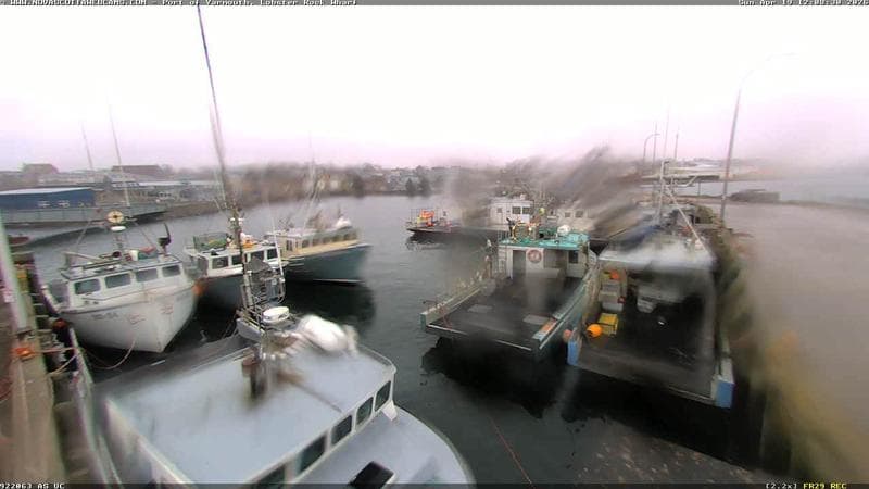 Lobster Rock Wharf East