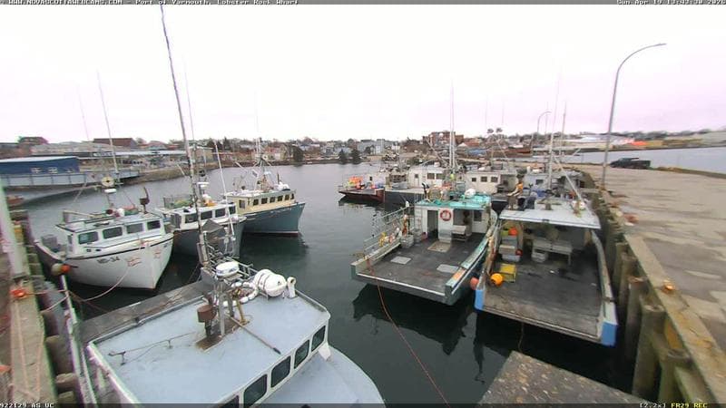 Lobster Rock Wharf East