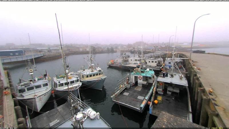 Lobster Rock Wharf East