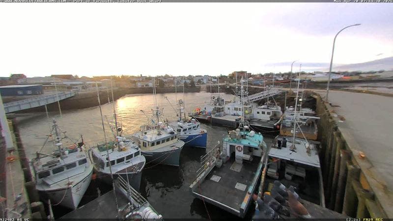 Lobster Rock Wharf East