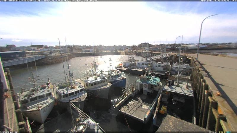 Lobster Rock Wharf East