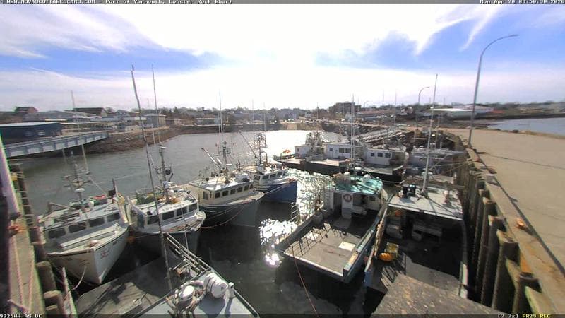 Lobster Rock Wharf East