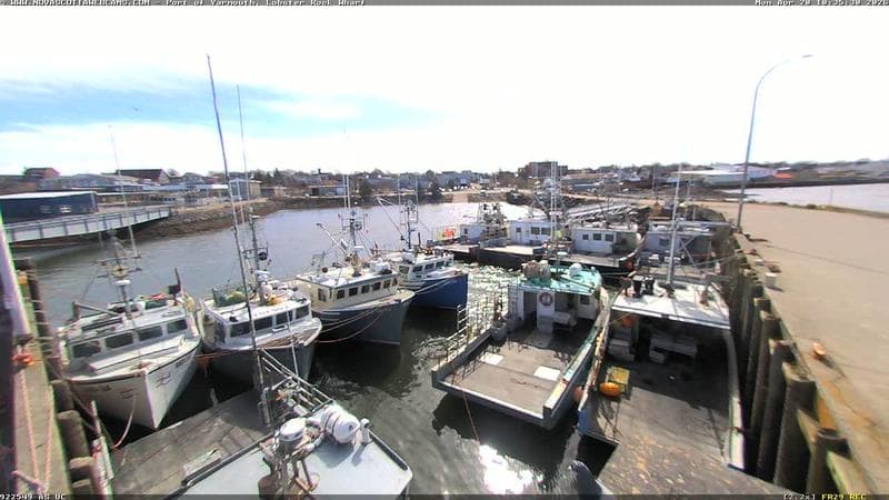 Lobster Rock Wharf East