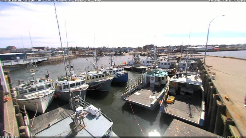 Lobster Rock Wharf East