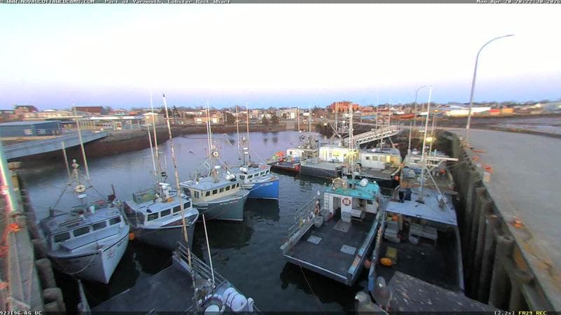 Lobster Rock Wharf East