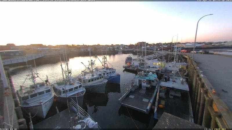 Lobster Rock Wharf East