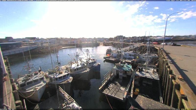 Lobster Rock Wharf East