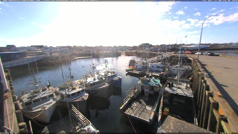 Lobster Rock Wharf East