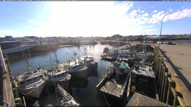 Lobster Rock Wharf East