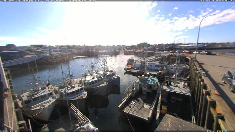 Lobster Rock Wharf East