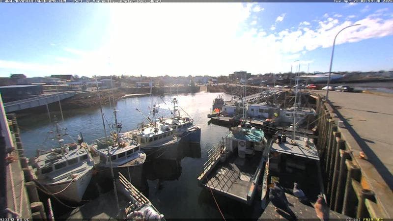 Lobster Rock Wharf East