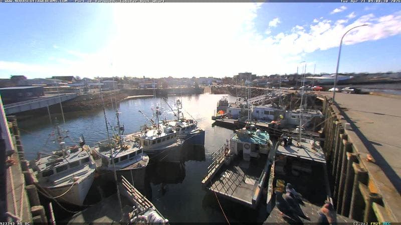 Lobster Rock Wharf East