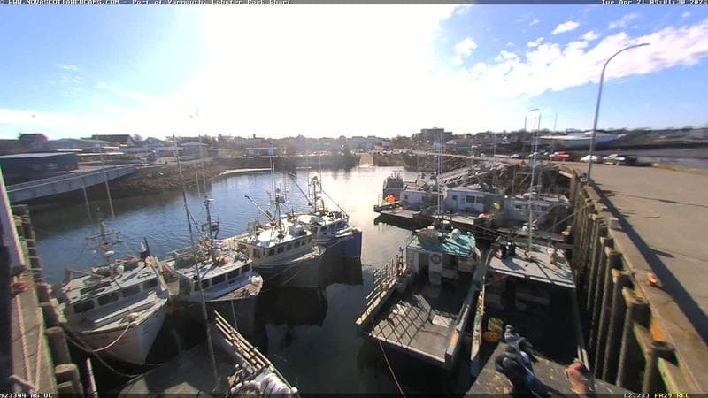 Lobster Rock Wharf East