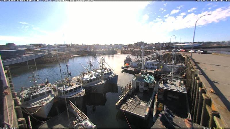 Lobster Rock Wharf East